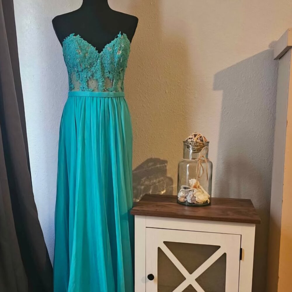Beautiful embroidered bodice prom/formal dress